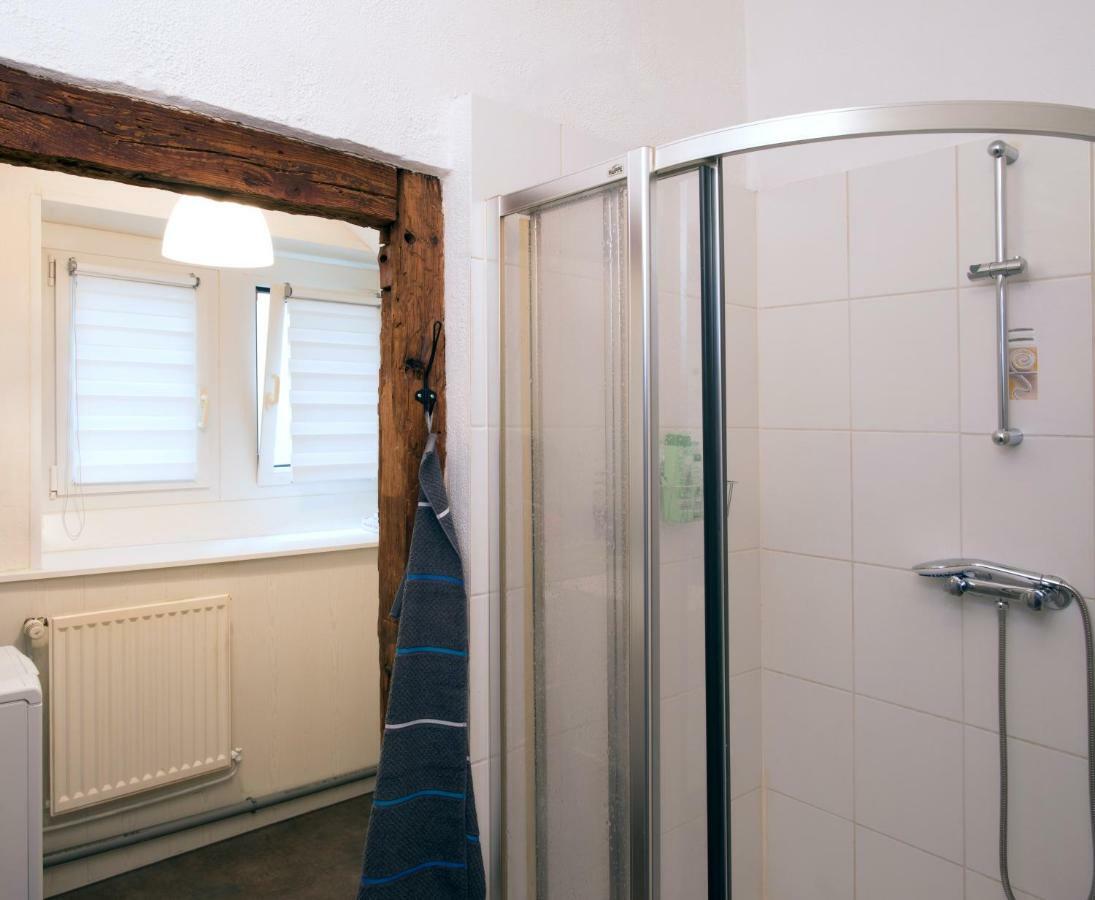 " Martin Schongauer " Apartment Colmar Bagian luar foto